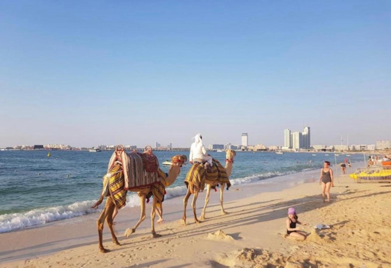 Seaview Beach Hostel Jbr - Walk To Beach - Gym - Pool - Metro Station ดูไบ ภายนอก รูปภาพ